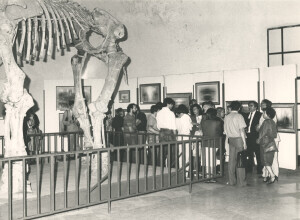 1984_07_06 Musicarchitettura RDT '84 - Inaugurazione della mostra 'Edilizia culturale nella RDT' ann 1731 inv 2113 vol 12.tif