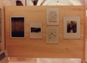 1984_07_09 Musicarchitettura '84 - Mostra 'La musica nell'arte figurativa' ann 1739 inv 2144 vol 12.tif