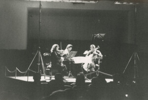 1993_11_28 Il Trio di Vienna inv 2725 vol 15.tif