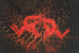 2000_04_15 I Momix inv 3841 vol 19.tif