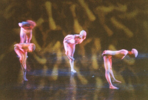 2000_04_15 I Momix inv 3844 vol 19.tif