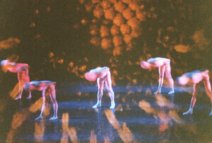 2000_04_15 I Momix inv 3845 vol 19.tif